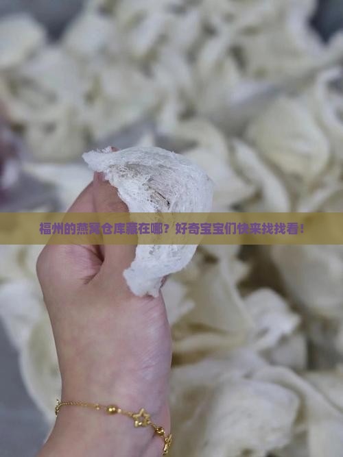 福州燕窝存储仓库在哪里