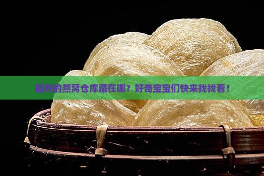 福州燕窝存储仓库在哪里
