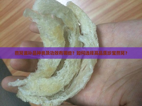珍宝燕窝滋补品有哪些
