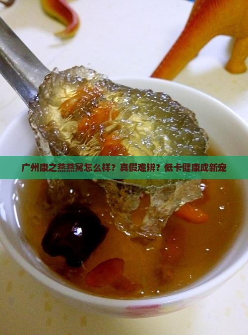 广州康之燕燕窝怎么样