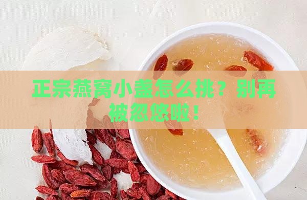正宗燕窝小盏怎么分辨
