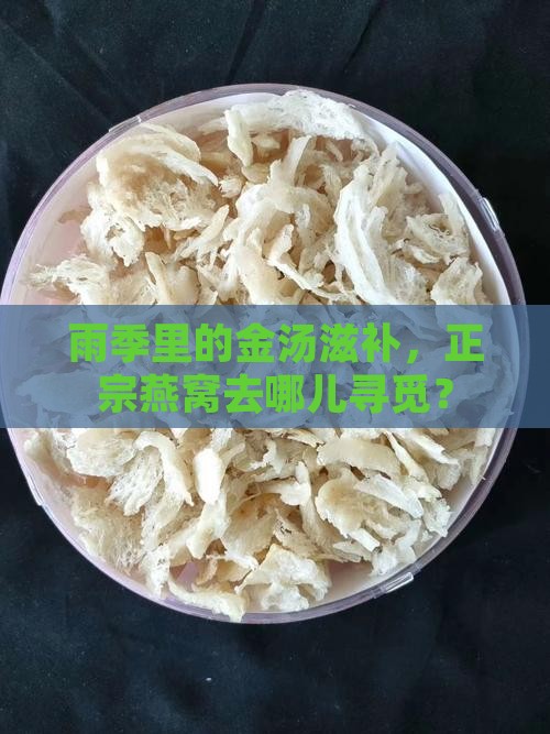 正宗的雨季燕窝哪里去买