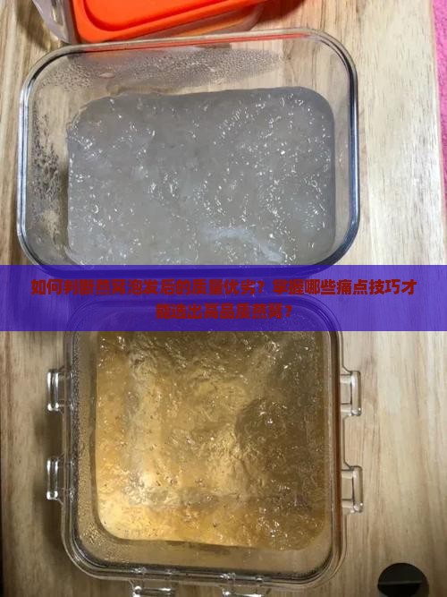 燕窝泡发怎么看质量好坏