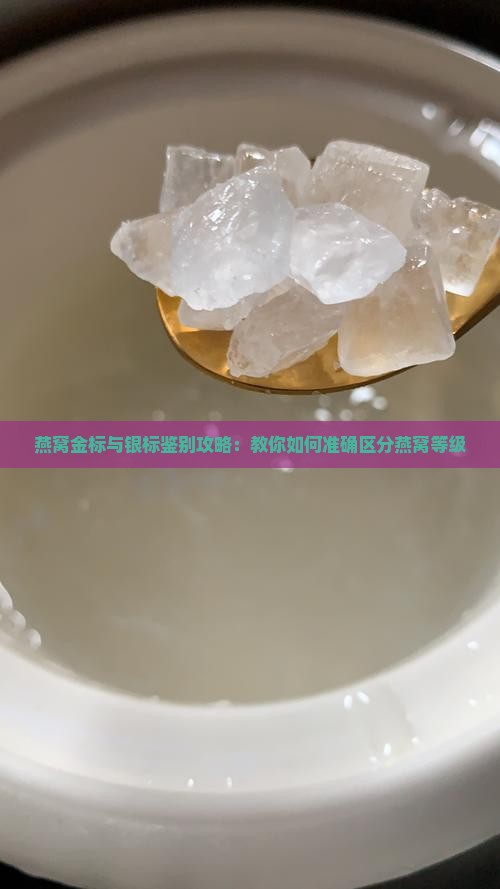 燕窝金标银标怎么区分