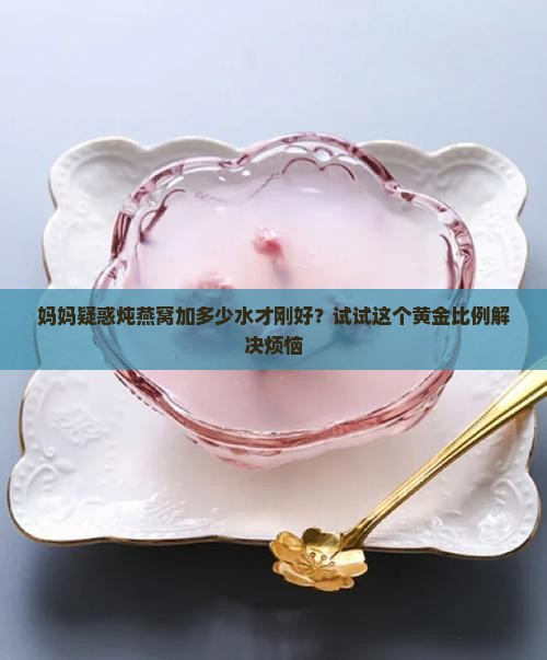 炖燕窝炖盅加多少水合适