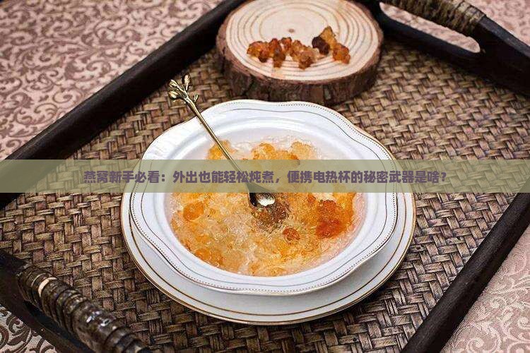 便携电热杯炖燕窝怎么用