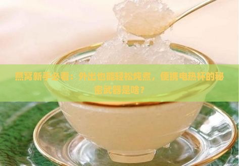 便携电热杯炖燕窝怎么用