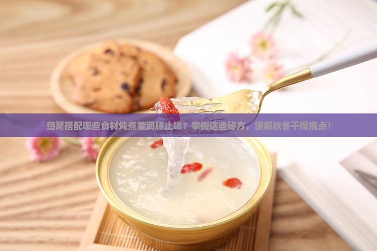 燕窝与什么炖润肺止咳