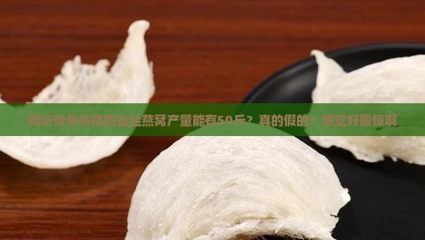 金丝燕窝的产量是多少斤