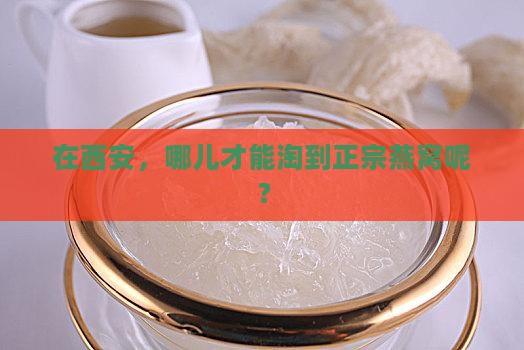 在西安哪里能买到燕窝