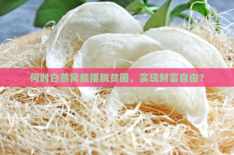 白燕窝什么时候能有钱