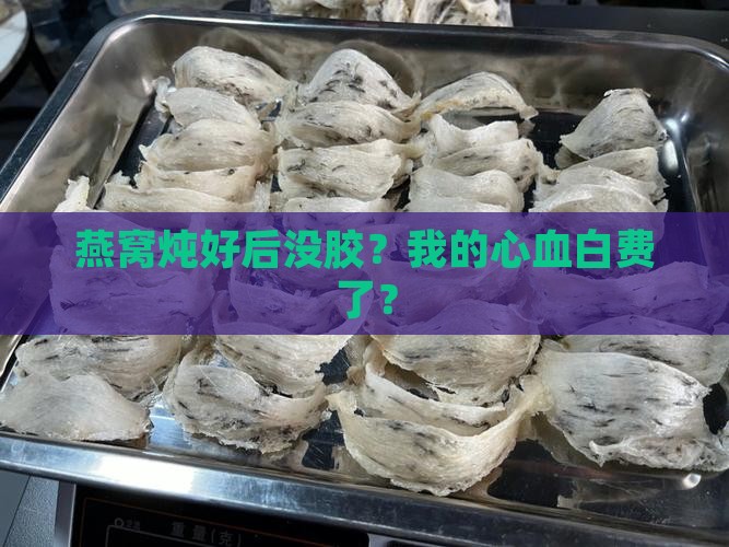 燕窝炖出来没有胶怎么办