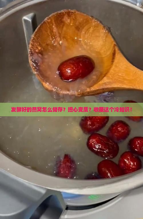 发酵好的燕窝怎么储存