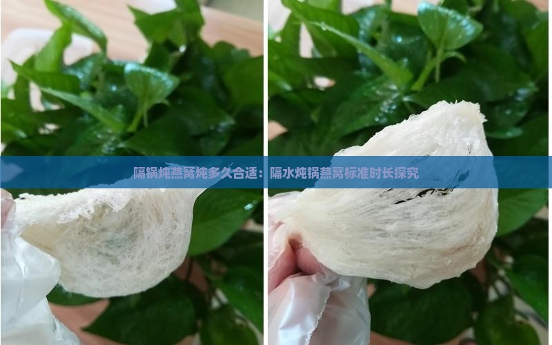 隔锅炖燕窝炖多久合适