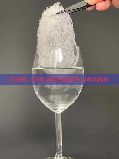 滦平哪里有卖燕窝果的呀