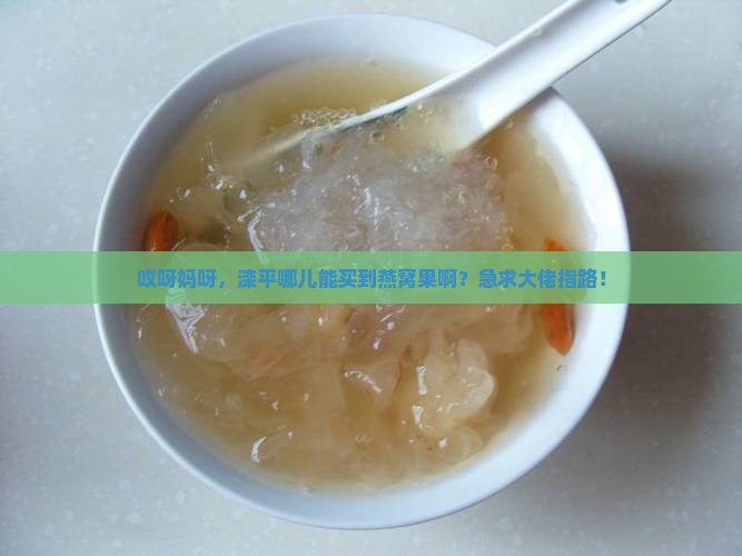 滦平哪里有卖燕窝果的呀