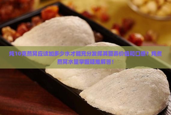 炖10g燕窝放多少水