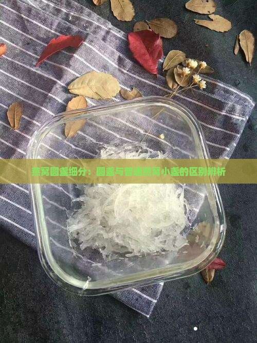 燕窝小盏圆盏怎么区分的