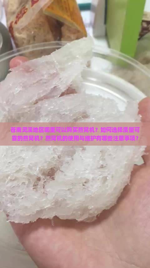 苍南灵溪哪里有卖燕窝机