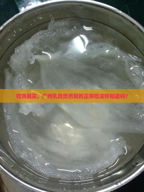 广州乳鸽煲燕窝怎么样啊