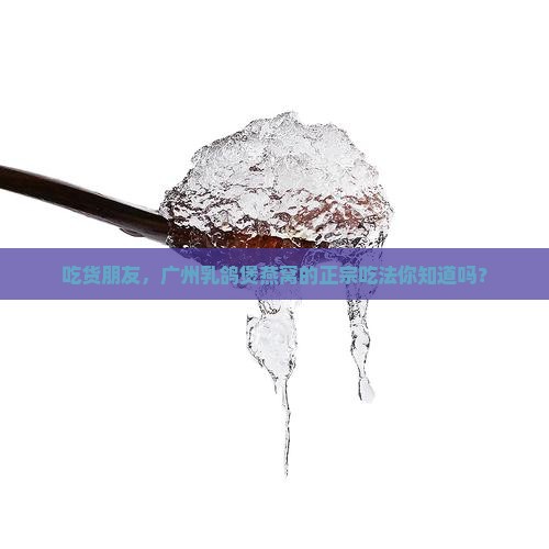 广州乳鸽煲燕窝怎么样啊