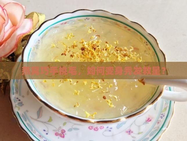 燕窝挑毛定型头发怎么做