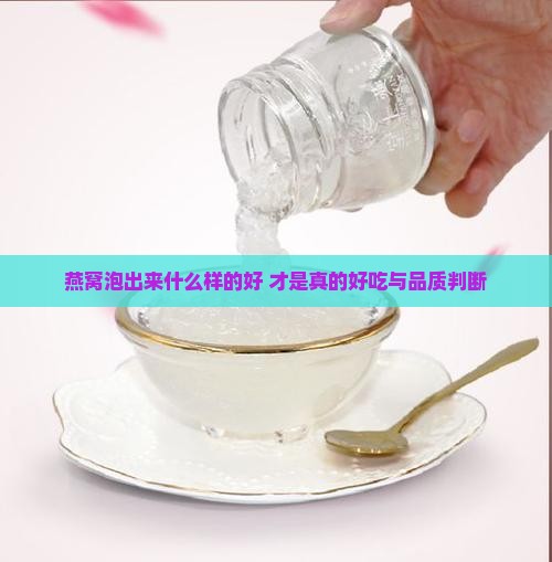 燕窝泡出来什么样的好