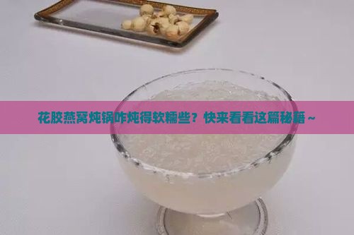 花胶燕窝炖锅怎么炖的烂