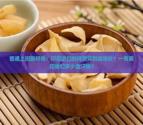 印尼碎燕窝多少钱一克