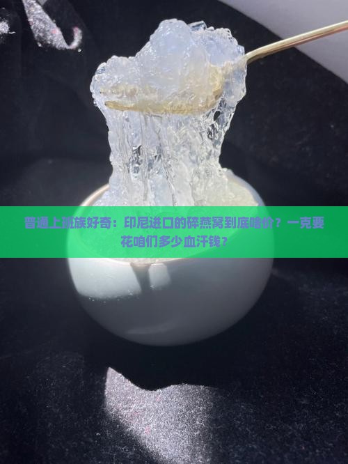 印尼碎燕窝多少钱一克