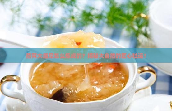 天然的燕窝大盏怎么来的