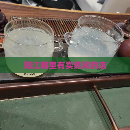 阳江燕窝花胶店在哪里