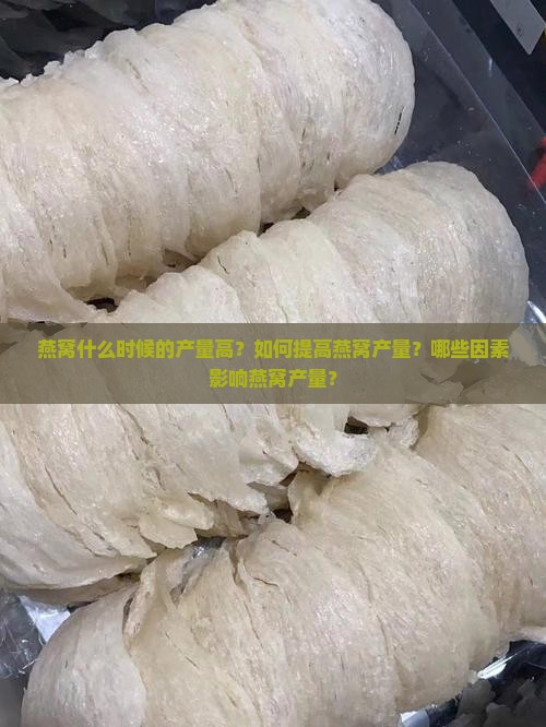 燕窝什么时候的产量高