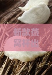 新款燕窝杯出货价格多少