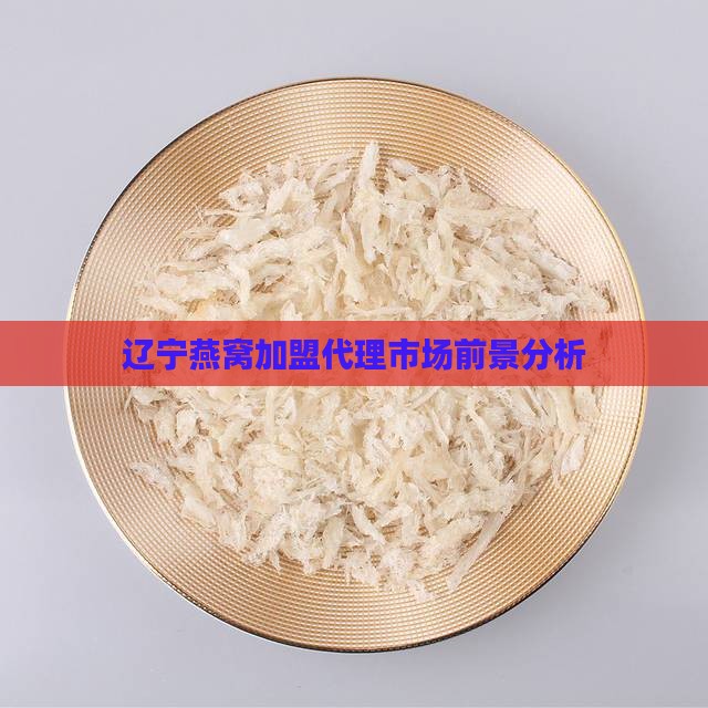 辽宁燕窝代理前景如何啊
