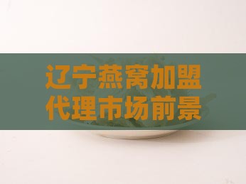 辽宁燕窝代理前景如何啊