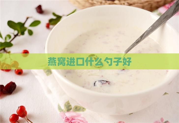 燕窝碗和勺子进口哪个好