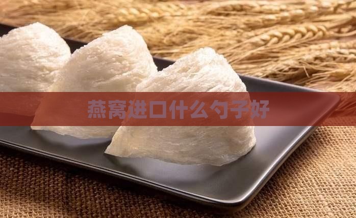 燕窝碗和勺子进口哪个好