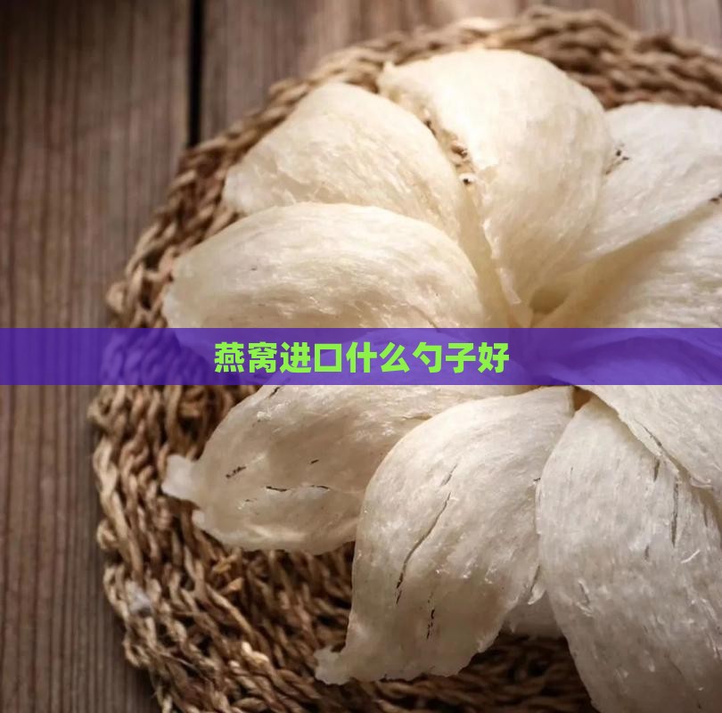 燕窝碗和勺子进口哪个好