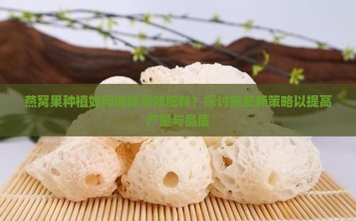 燕窝果一般施什么肥好
