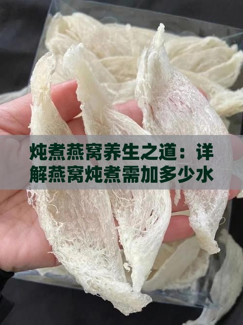 养生壶炖燕窝加多少水