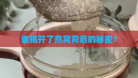 爆料燕窝的人怎么称呼他