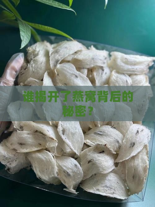 爆料燕窝的人怎么称呼他