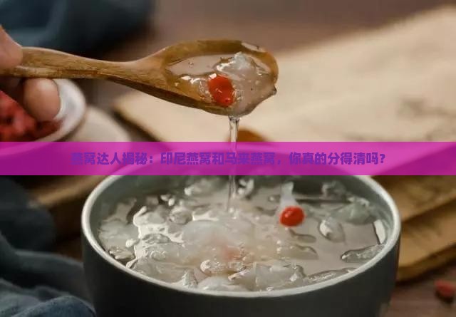 怎么区分印尼和马来燕窝