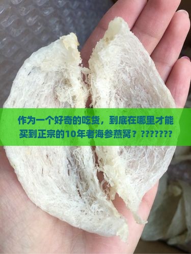 海参燕窝旗舰店在哪里买