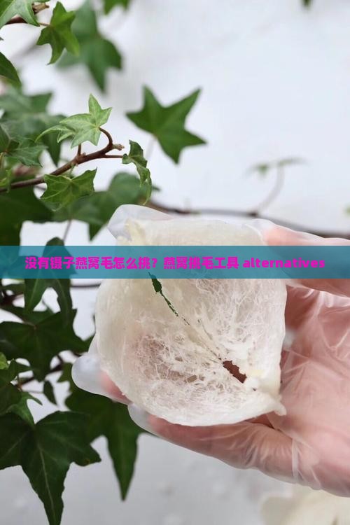没有镊子燕窝毛怎么挑