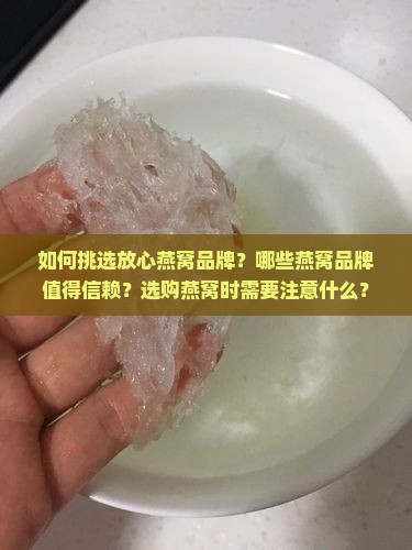 怎么挑选放心燕窝品牌