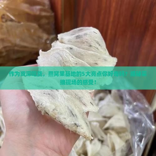 东方燕窝果基地怎么样