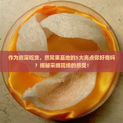 东方燕窝果基地怎么样
