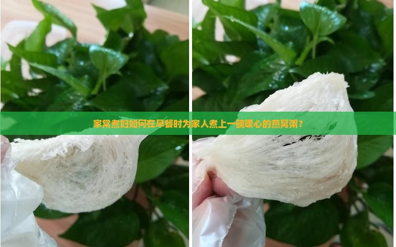 来碗最爱的燕窝粥怎么做